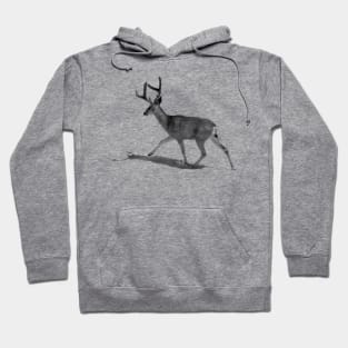 Deer Hoodie